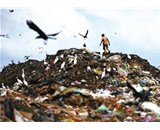 那些被大陆拒收的“洋垃圾”该何去何从？